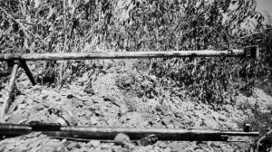 ОБОРОНА СТАЛИНГРАДА