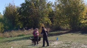 1 Оч/хор КЛЕОПАТРА из Белого Яра им №50 / КЧК РОСТОВ-НА-ДОНУ 29 сентября`24 А.Кейвомяги