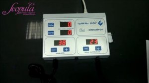 Мастер-класс по флеш-эпилятору "Шмель-1000" | Заказать на Scopula.ru