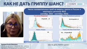 Номидес 2 ноября