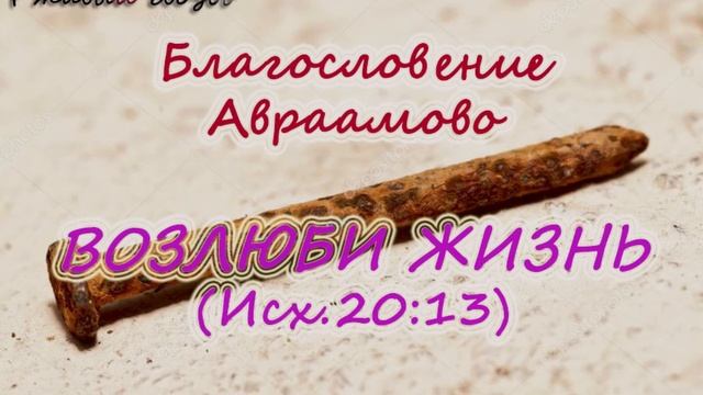 41.Возлюби жизнь (Исх.20:13) Церковь Сонрак, Верийское движение, Ким Ги Донг (Симуон)