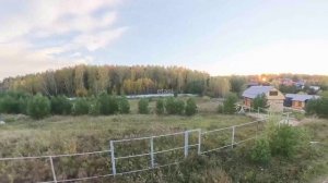 1715202  Кулига