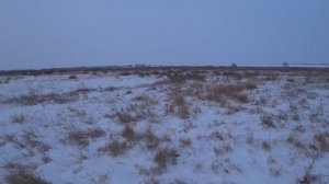 Охота на зайцев 2020-2021