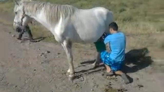 Видео0105.mp4Благадарная КОБЫЛА смотреть онлайн