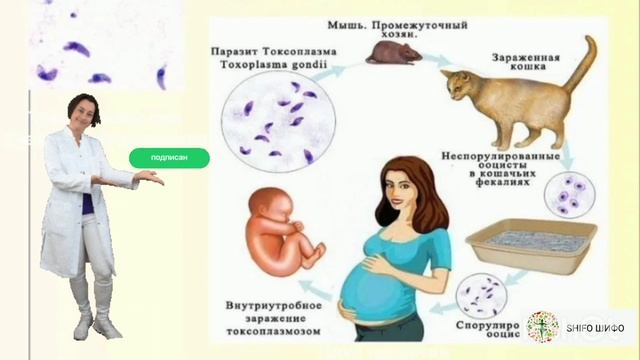 ИН ИНФЕКЦИЯ ХОМИЛАРО НОБУД МЕКУНАД. смотреть онлайн