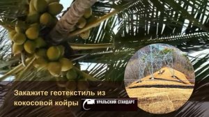 Кокосовая пальма - источник уникального материала