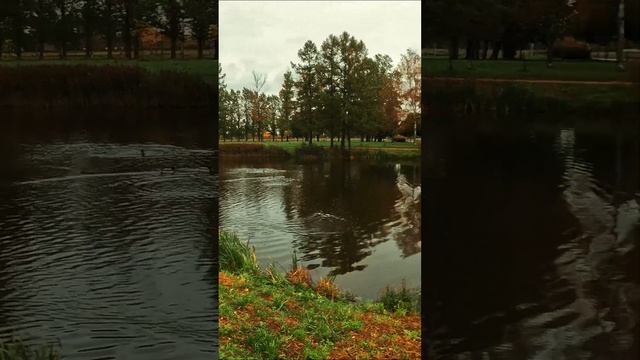 УТКИ - Молчать!  #мормышинг #рыбалка #nanojig #fishing