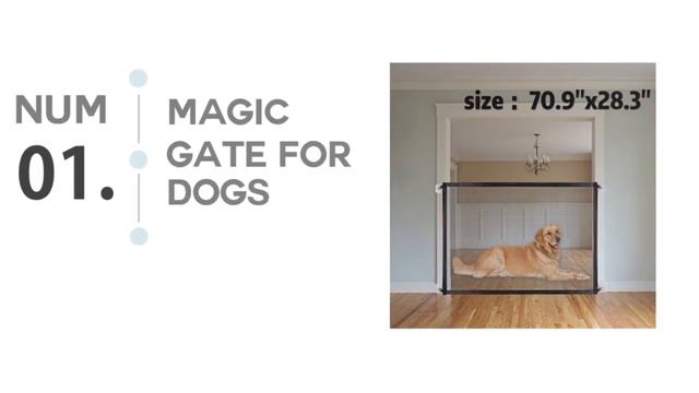 Top 10. New Pet Gadgets, Toys On Aliexpress, Gearbest and Banggood 2020 | Amazing Products смотреть онлайн