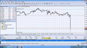 Как делать правильные ставки на Forex и проиграть за 2 минуты 1000$