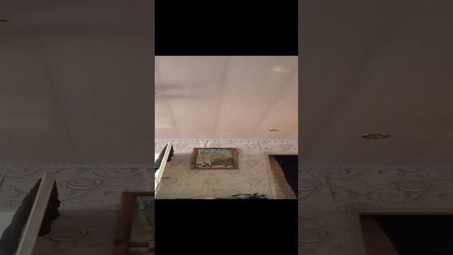 мисс циркуль