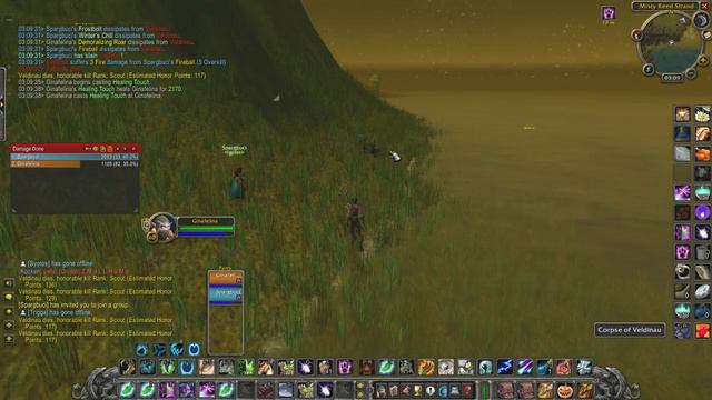 wow classic bot busted (GEHENNAS) смотреть онлайн