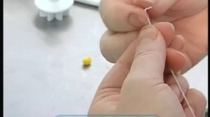 Галилео. Съедобная одежда Edible clothes