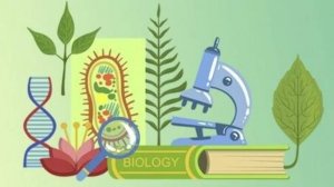 Биология 11 класс. Генетическое равновесие в популяциях его нарушение.--