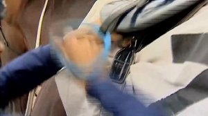 Галилео | Бега и скачки  Race and runs