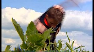 Галилео. Газон  Lawn