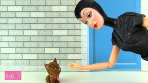 С КОТОМ В ШКОЛУ? Мультик #Барби Школа Куклы Игрушки Для девочек