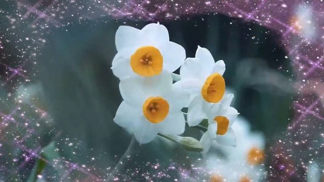 Paul Mauriat & His Orchestra play Mozart Symphony No. 40 K550 in G minor - (Molto Allegro) смотреть онлайн