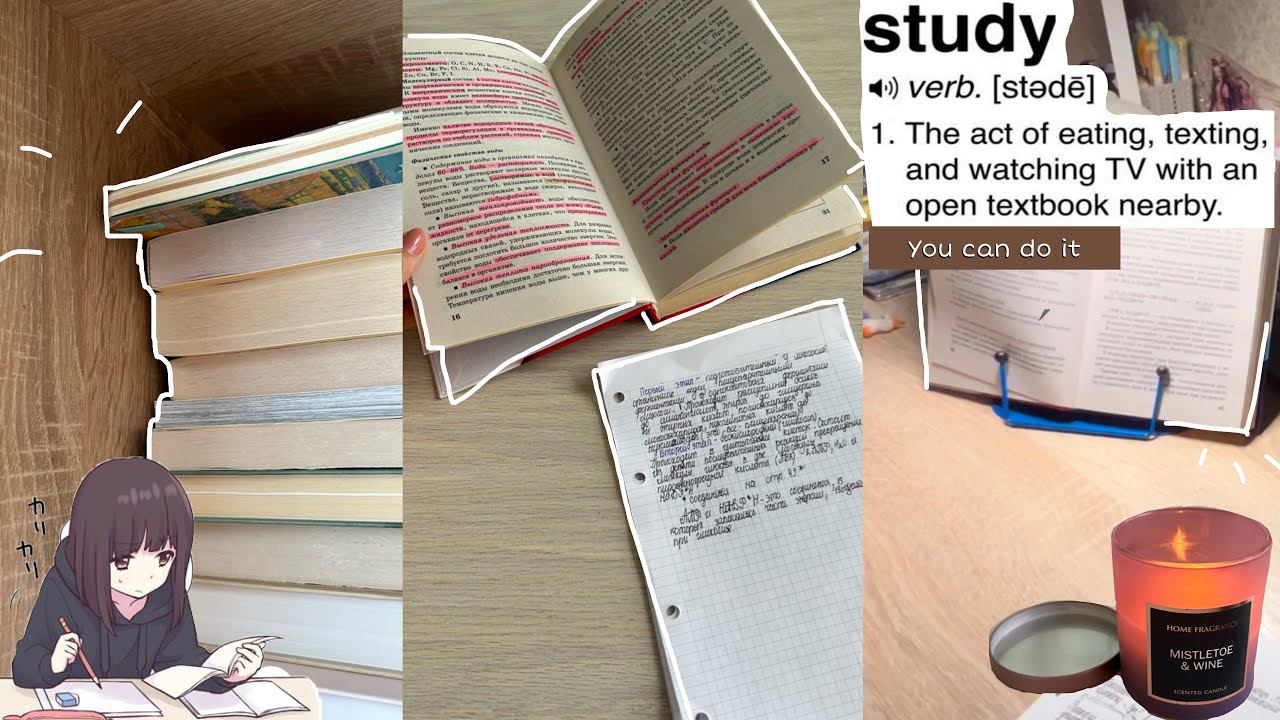 Study With Me/ Японский, английский и био /стади виз ми