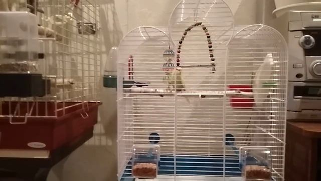 Шелл переехал, с новосельем Шелл!!!