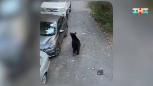 Другие новости