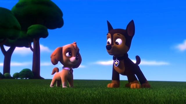 последнее лето (Гончик и Скай щенячий патруль) смотреть онлайн