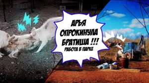 Гибрид волка АРЬЯ ОПРОКИНУЛА ЯКУТСКОГО ВОЛКА  Работа кипит в ПАРКЕ СЕВЕРНЫХ ВОЛКОВ