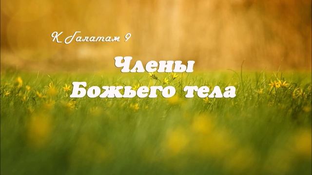 9. ЧЛЕНЫ БОЖЬЕГО ТЕЛА_ к Галатам_ пастор Ли Ги Тэк_ церковь "Сонрак", Миссионерский центр "Сонрак"