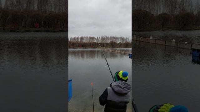 Поимка форели на платнике на пасту.