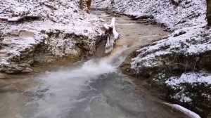 ПРОГУЛКИ В ГЕЛЕНДЖИКЕ 83