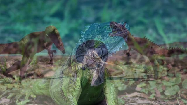 ВИДЕО ДЛЯ УСПОКОЕНИЯ #16 - ДИНОЗАВРЫ смотреть онлайн