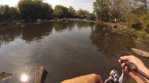 Обзор спиннинга Maximus Egoist Limited Edition 662UL