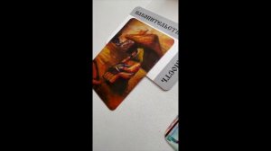 Что такое системные расстановки?