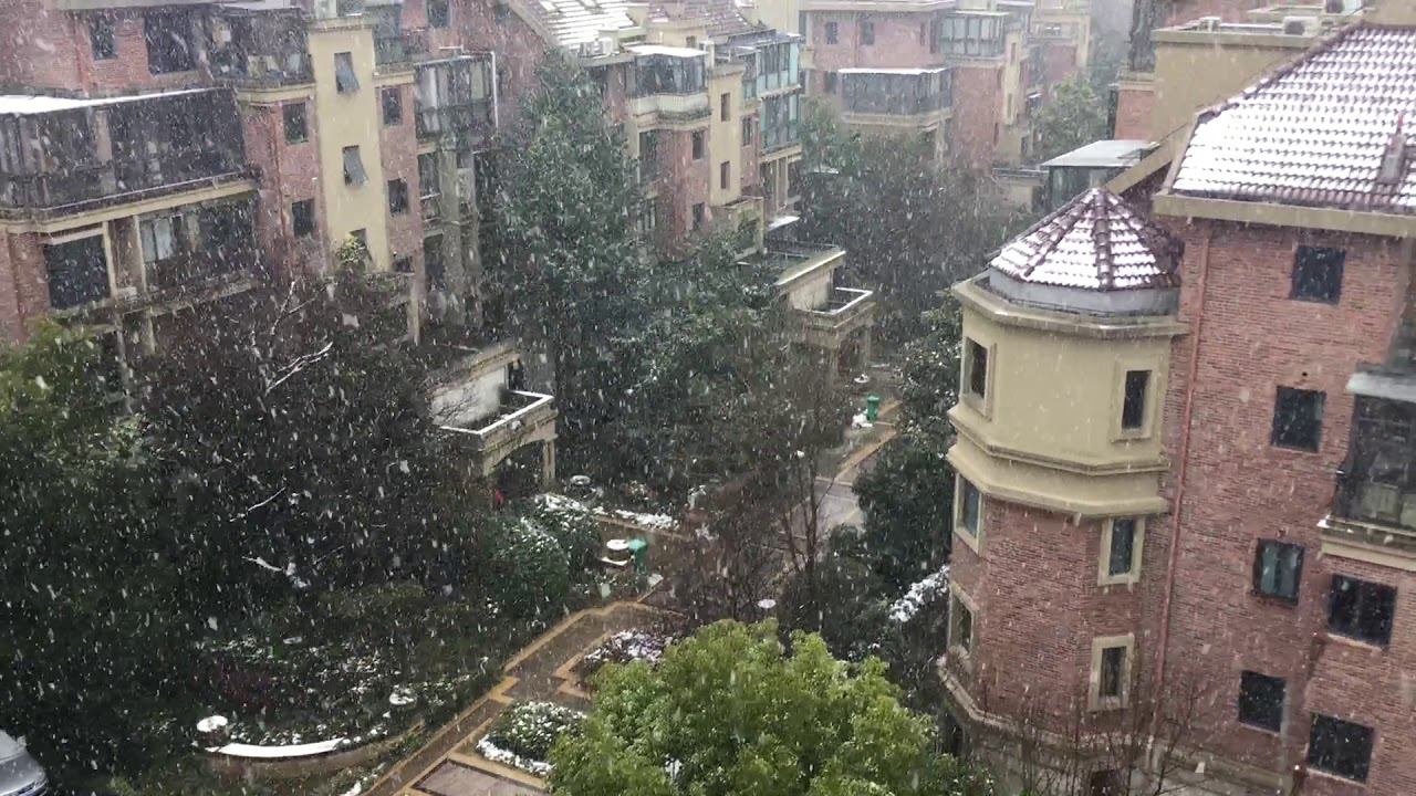 Снег в Шанхае. Shanghai witnessed its heaviest fall of snow for at least ten years.