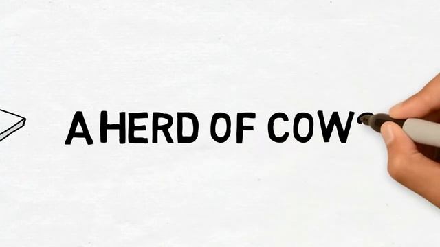 Собирательные существительные | Collective nouns смотреть онлайн