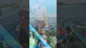 читерская снасть на жереха #рыбалка #отдых #esox