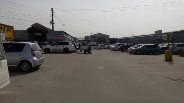 дордой рынок /карго / 16 марта/2020 / смотреть онлайн