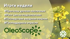 Итоги недели: сбор масличных снижается, рост цен достиг потолка, господдержка отрасли