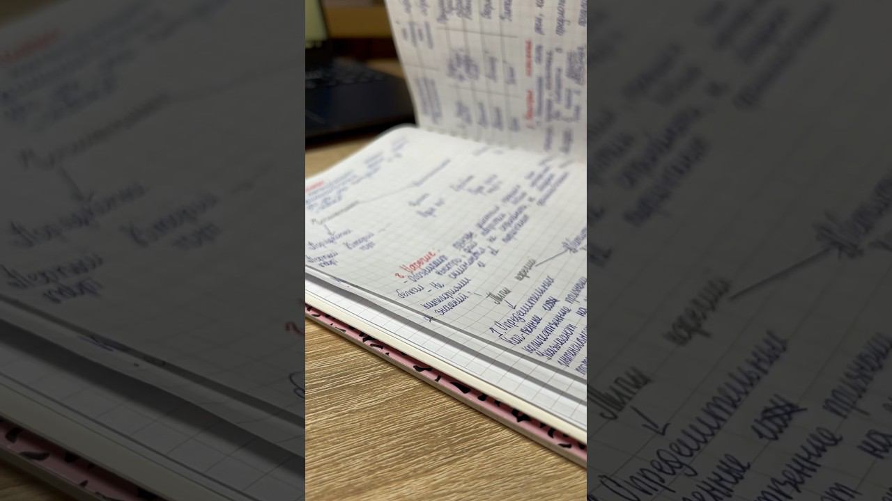 Study with me/ daily life new #study смотреть онлайн