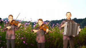 Mozart - Snesar Trio: Symphony no. 40 - III. Menuetto