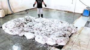 Вот что значит крутая техника для уборки. Отмыли САМЫЙ грязный ковер в мире!