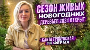 ОТКРЫВАЕМ СЕЗОН ЖИВЫХ НОВОГОДНИХ ДЕРЕВЬЕВ 2024
