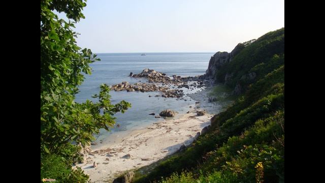 Шамора (30-09-2024)