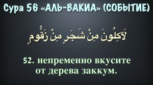 Сура 56 аль-Вакиа (арабские и русские титры) - Мухаммад Люхайдан