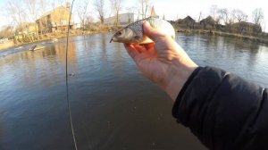 Ловля крупной плотвы на спиннинг. СО1Л. Часть 46