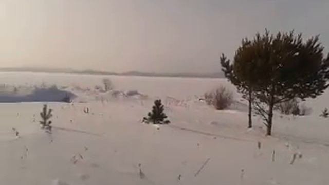 Уникальные возможности и способности человека.Сверхспособности.