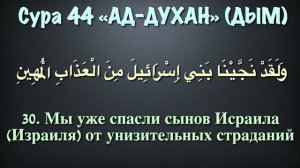 Сура 44 ад-Духан (арабские и русские титры) - Мухаммад Люхайдан