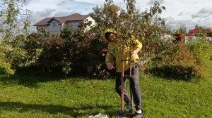 Работы в саду.Минус питомнику