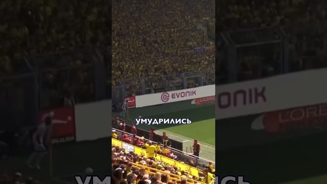 Трагедия Боруссии Дортмунд  #футбол #бавария #боруссиядортмунд
