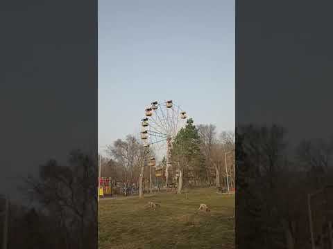 Арсеньев. Демонтаж колеса обозрения смотреть онлайн