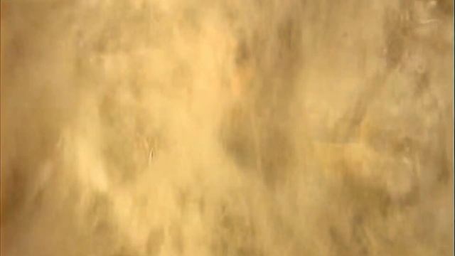 Галилео Какая одежда самая тёплая? смотреть онлайн